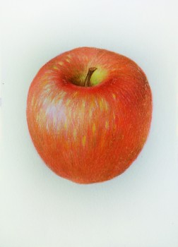 Apfel [verkauft] — 13x18cm Buntstift auf Papier 2016