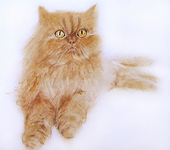 Katze — 21x15cm Pastell auf Papier 2010