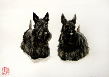 Olivia & Tamina [verkauft] — 29x20cm Tinte auf Kraftpapier 2011