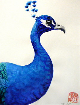 Pfau [verkauft] — 13x18cm Aquarell auf Papier 2011
