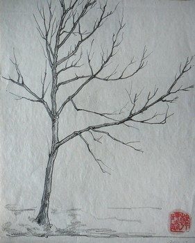 Baum (1) — 20x25cm Bleistift auf Papier 2010