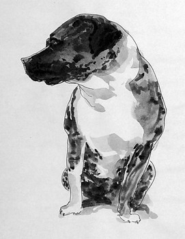 Hund — 15x21cm Tinte auf Papier 2010