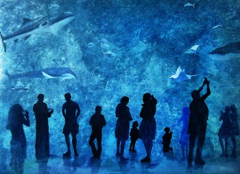 Aquarium (1) [verkauft] — 43x21cm Öl, Acryl auf Papier 2016