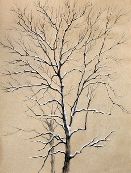 Baum (2) — 23x31cm Kohle auf Kraftpapier 2010