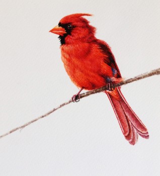 Roter Vogel — 13x14cm Aquarell auf Papier 2012