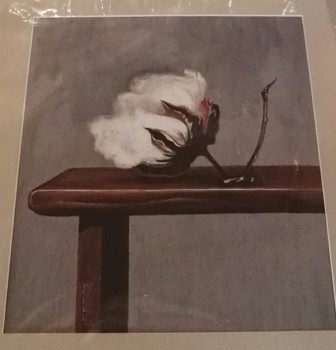 Baumwollblüte (Konzept) — 30x40cm Pastell auf Papier 2016