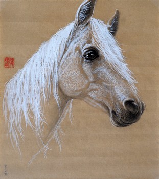 Weißes Pferd [nicht zu verkaufen] — 30x35cm Tinte auf Kraftpapier 2010