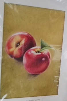 Pfirsiche (Konzept) — 30x40cm Pastell auf Papier 2016