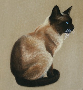 Katzen Skizze [verkauft] — 25x27cm Pastell auf Kraftpapier 2012