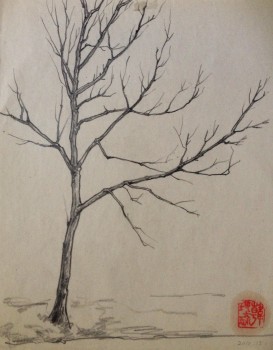 Baum — 20x25cm Bleistift auf Papier 2010