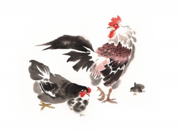 Hühnerschar — 40x30cm Tinte auf Papier 2016