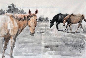 Drei Pferde [verkauft] — 45x68cm Tinte auf Reispapier 2010