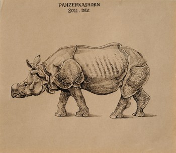 Panzernashorn — 27x23cm Tinte auf Kraftpapier 2011