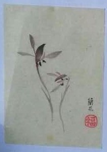 Orchidee — 16x23cm Tinte auf Reispapier 2016