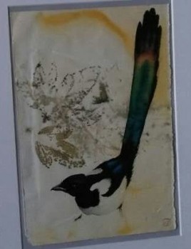Elster — 19x27cm Aquarell auf Papier mit botanischer Farbe 2016