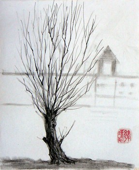 Baum mit Haus — 25x20cm Kohle auf Papier 2010
