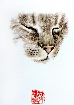 Schlafende Katze (1) [verkauft] — 10x15cm Tinte, Aquarell auf Papier 2010