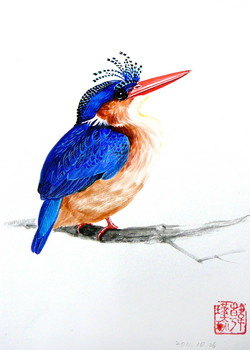 Vogel Serie (5) [verkauft] — 15x21cm Aquarell auf Papier 2011