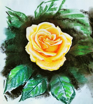 Gelbe Rose — 0x0cm Pastell auf Papier 2016