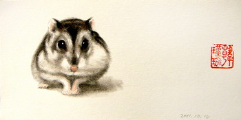 Hamster Serie (2) — 20x10cm Kohle, Pastell auf Papier 2011