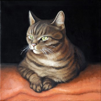 Eine Hauskatze [verkauft] — 30x30cm Öl auf Leinwand 2010