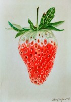 Erdbeere — 10x15cm Buntstift auf Papier 2016
