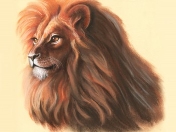 Löwe — 40x30cm Pastell auf Papier 2016