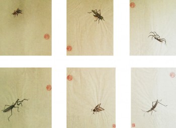 Insekten Serie — 15x20cm Tinte auf Reispapier 2016