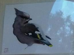 Grauer Vogel — 12x16cm Tinte auf Papier 2016