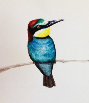 Bunter Vogel — 14x16cm Aquarell auf Papier 2012