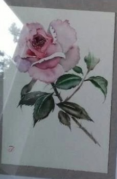Rose — 17x25cm Aquarell auf Papier 2016