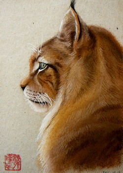 Luchs [verkauft] — 15x21cm Pastell auf Kraftpapier 2011