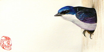 Vogel Serie (3) [verkauft] — 20x10cm Aquarell auf Papier 2011