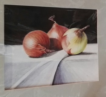 Zwiebeln (Konzept) — 35x30cm Pastell auf Papier 2016