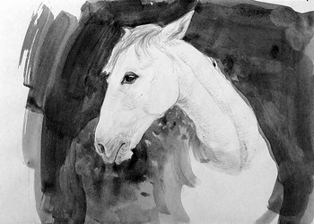 Skizze vom Pferd (1) — 21x15cm Tinte auf Papier 2010