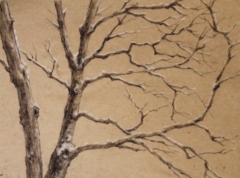 Baum im Schnee — 17x23cm Kohle auf Kraftpapier 2010