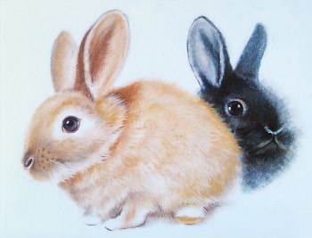 Kleine Kaninchen — 20x15cm Pastell auf Papier 2013