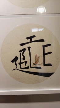 Libelle — ∅30cm Tinte auf Reispapier 2018